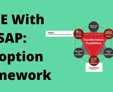 RISE With SAP: Adoption Framework