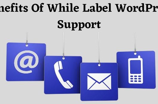 White Label WordPress support